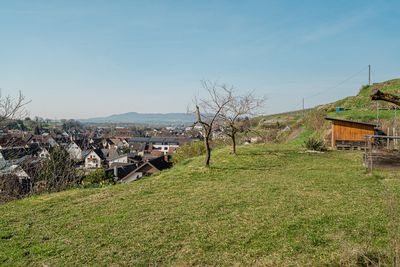 GARTENANSICHT OBERE GARTENEBENE