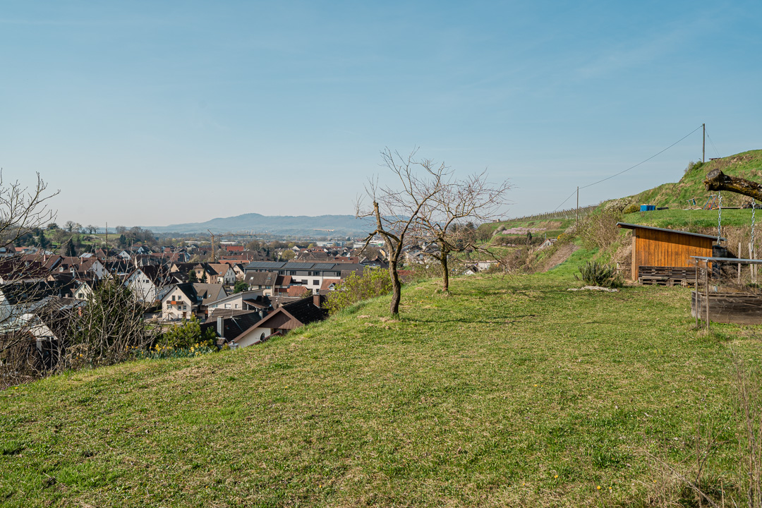 GARTENANSICHT OBERE GARTENEBENE