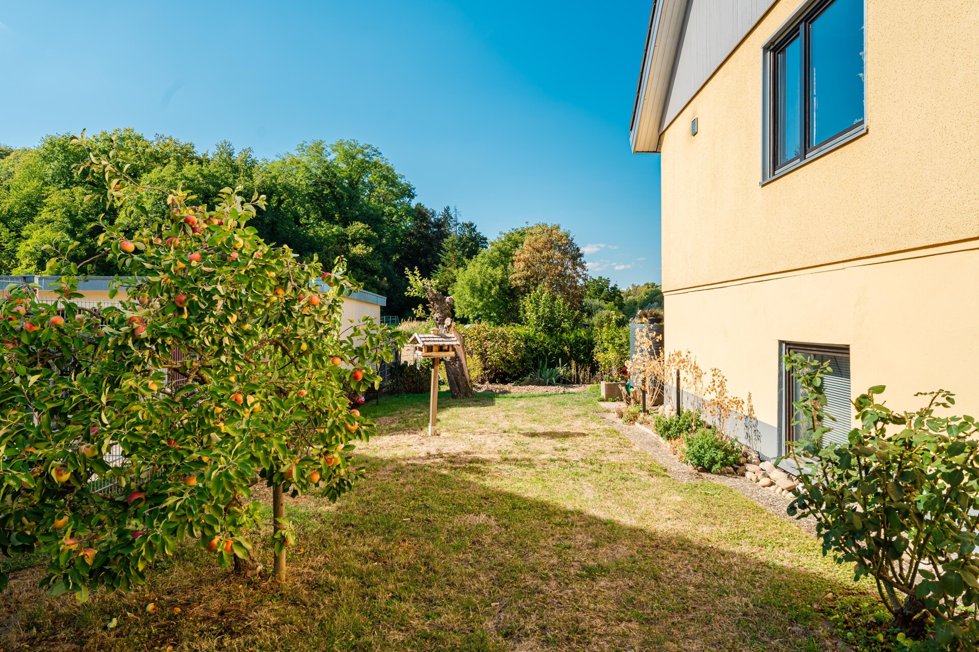 Gartenbereich seitlich